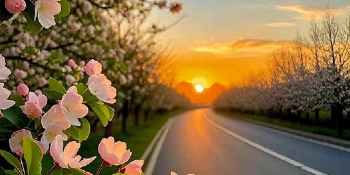 Buffalo Payments indicator one more QB towards 1-calendar year deal