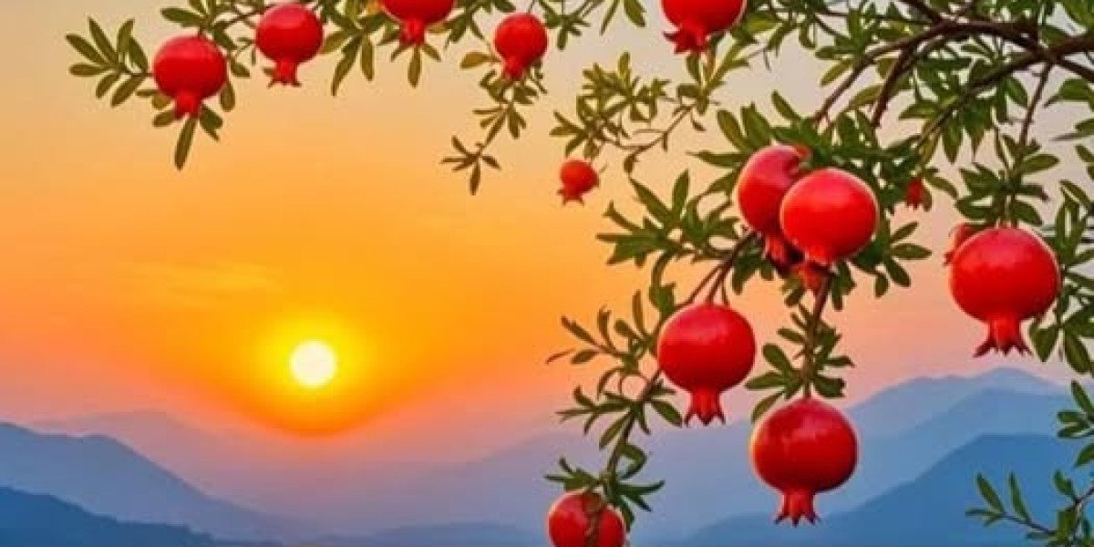 Your day by day Cowboys trivia video game, Wednesday variation