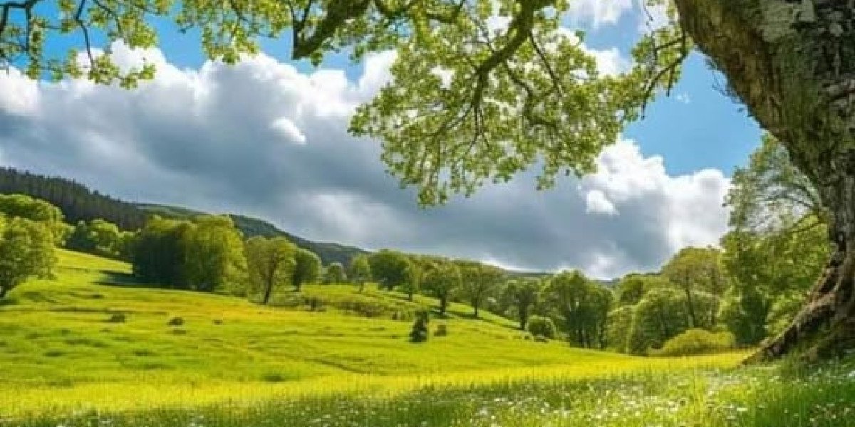 Supporter who fell on to business at PNC Park awake and recovering