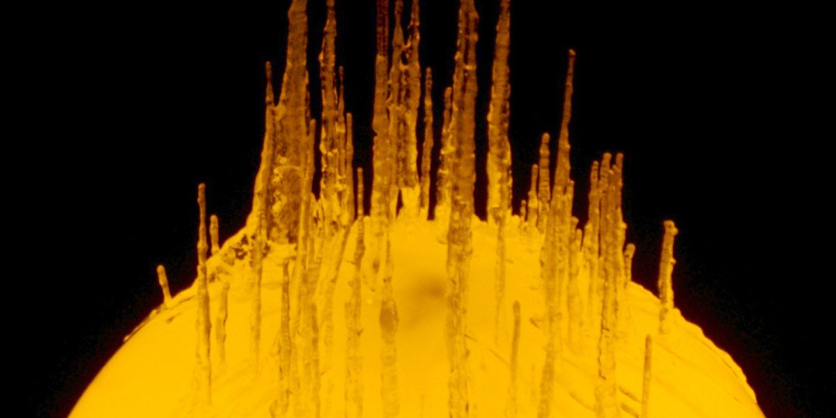 Best Online Casinos in Australia Top Real Money Casinos in 2025