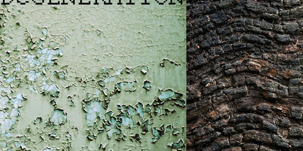 Top Online Casinos USA Play for Real Money Today