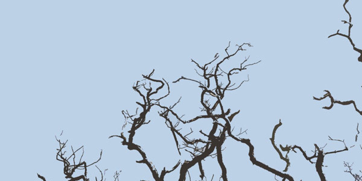 Play Slots, Get Bonuses & Enjoy VIP Rewards!