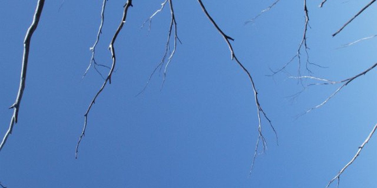 HellSpin Casino Review Expert & Player Ratings 2025