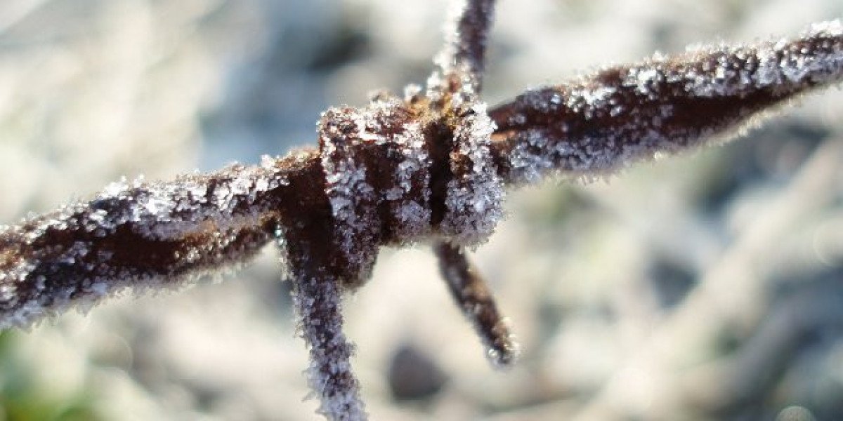 Meet the People Behind the Play