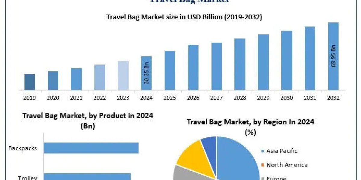 Travel Bag Market Size, Opportunities, and Industry Trends (2025–2032)