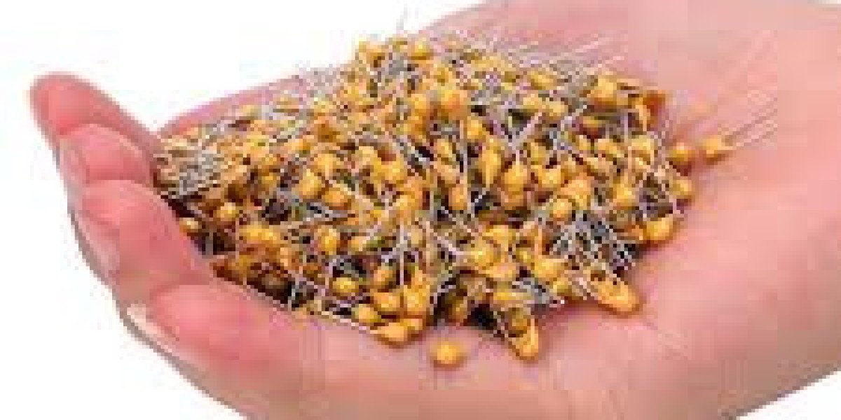 Revealed: GCC Multilayer Ceramic Capacitor Market Grows with Robust Demand