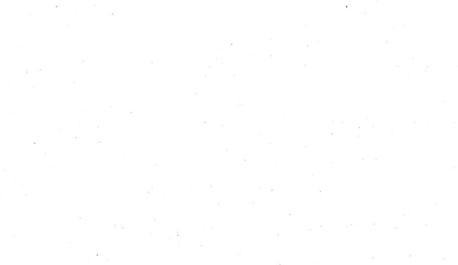 vayebob431