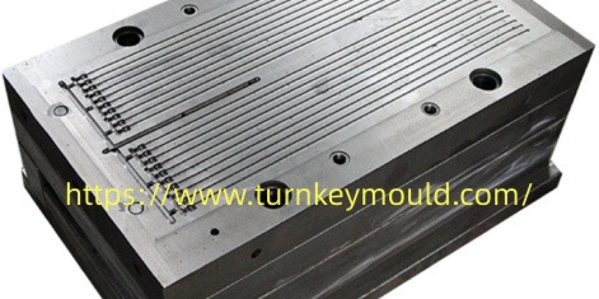 Automobiletiemould PP Seal Cable Tie Mold what affects shaping precision results