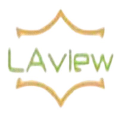 Laview Camera