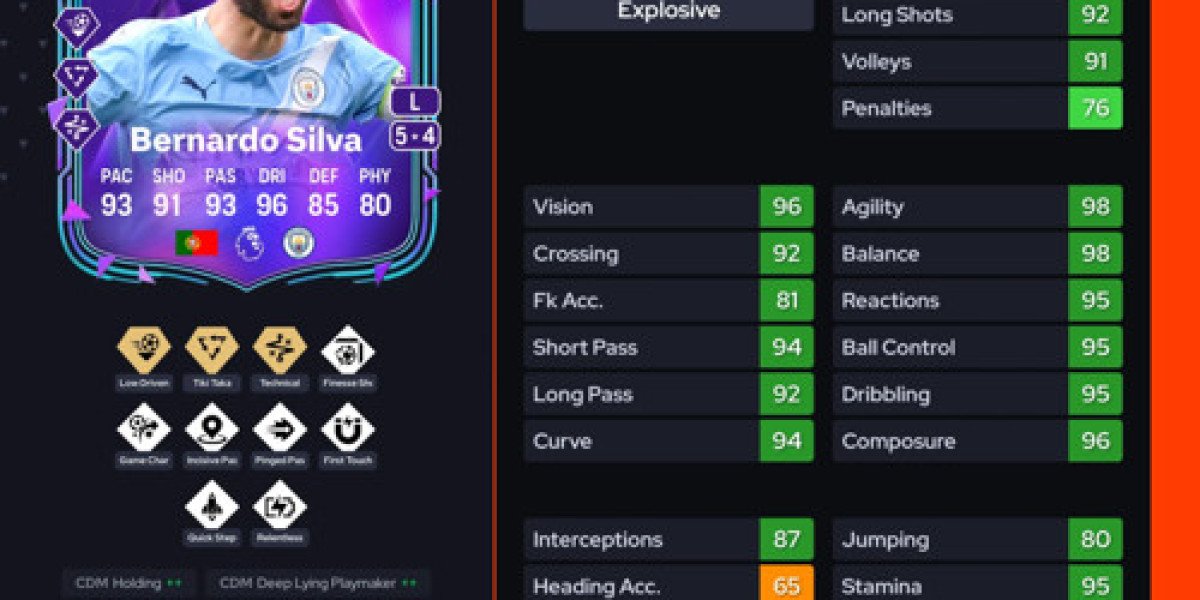 DCE Bernardo Silva Premium : solutions et prix