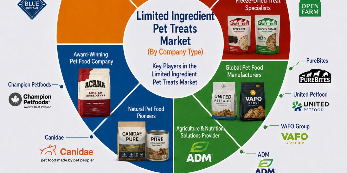 Limited Ingredient Pet Treats Market: Key Trends Shaping the Future