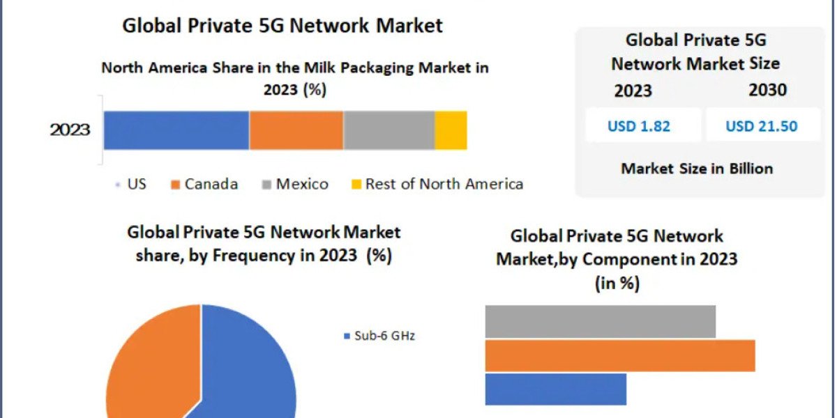 Global Private 5G Network Market: Emerging Trends in Low-Latency Connectivity