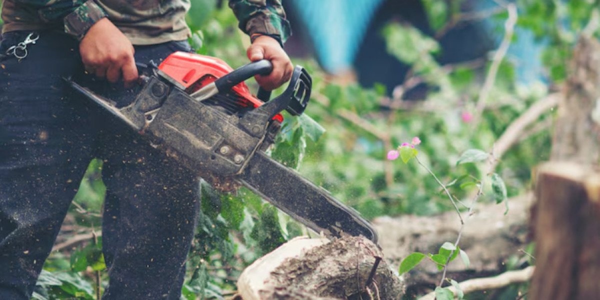 Comprehensive Guide to Stump Grinding Services West Mobile AL and Tree Removal West Mobile AL