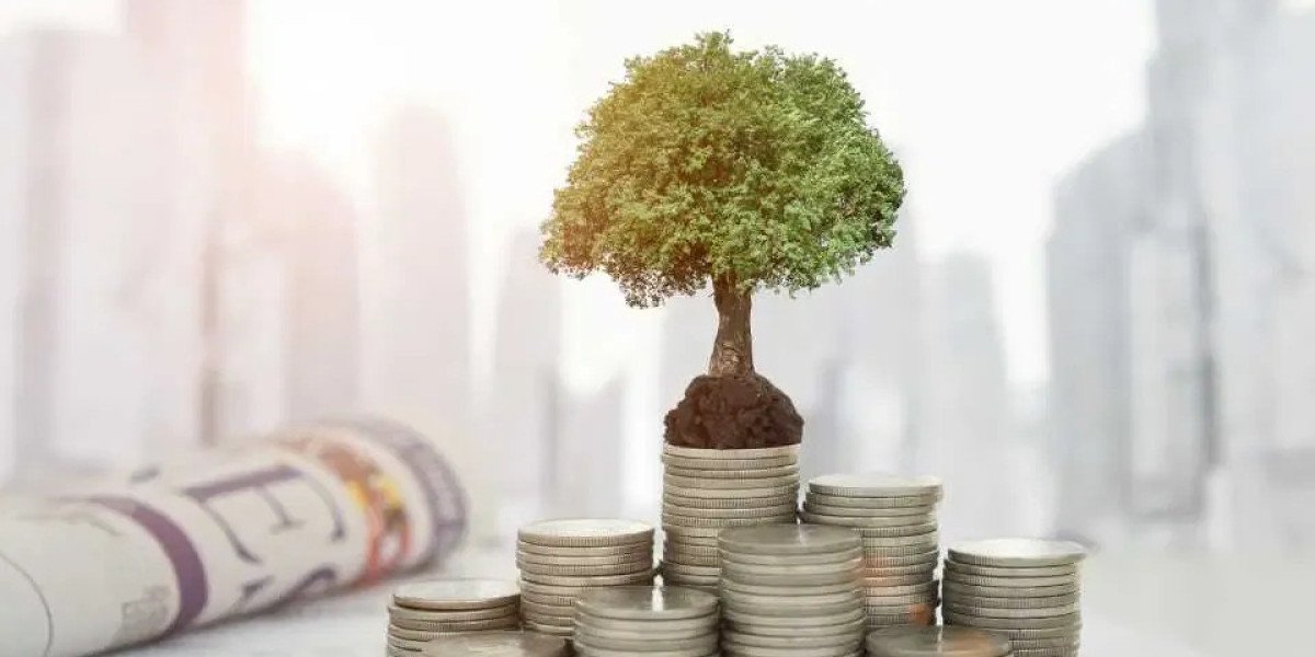 Aligning Financial Goals with Ethical Investment Frameworks