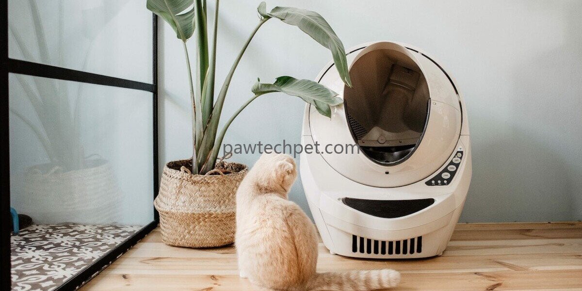 Efficient Global Supply of Modern Pet Devices