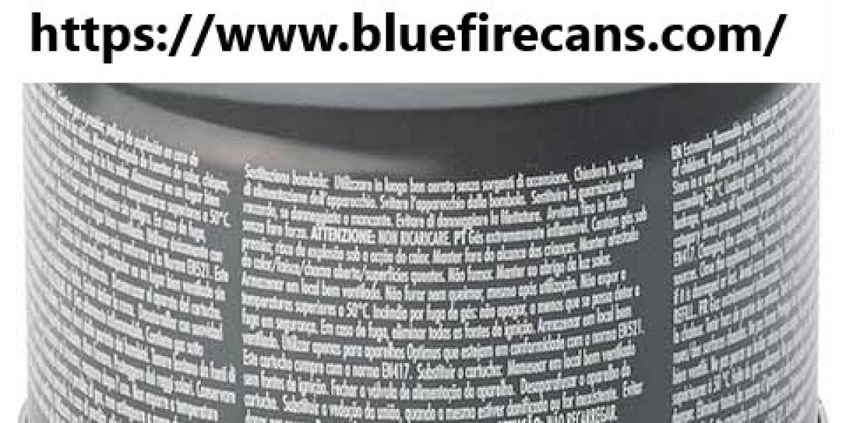Why Does Bluefirecans 450g Gas Canister Factory Serve International Outdoor Markets