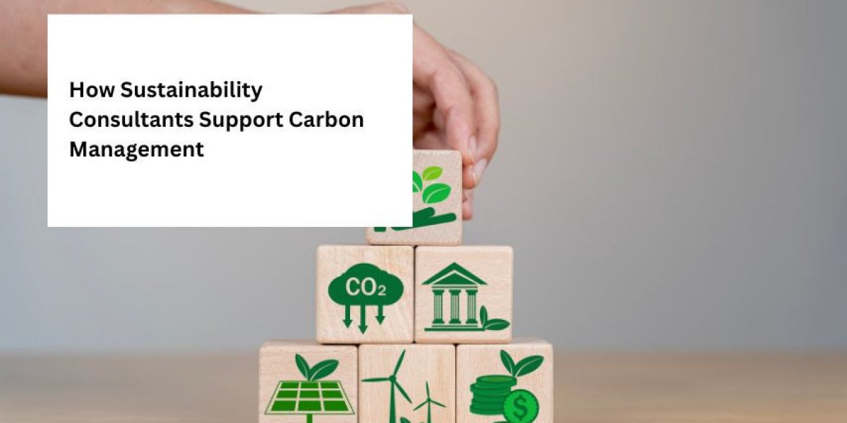 How Sustainability Consultants Support Carbon Management in Malaysia