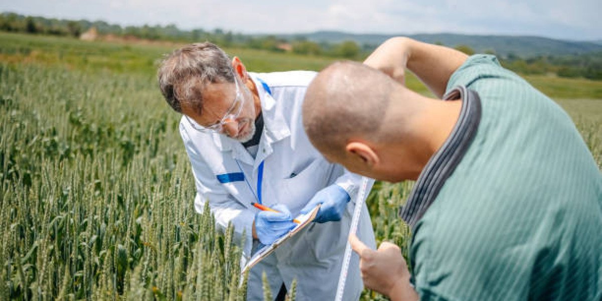Agricultural Adjuvants Market Outlook: Trends, Growth Drivers, and Future Opportunities
