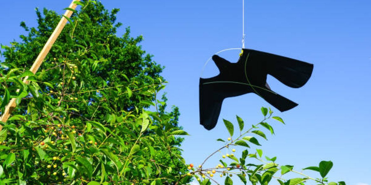 Bird Repellent Market Outlook: Trends, Growth Drivers, and Future Opportunities