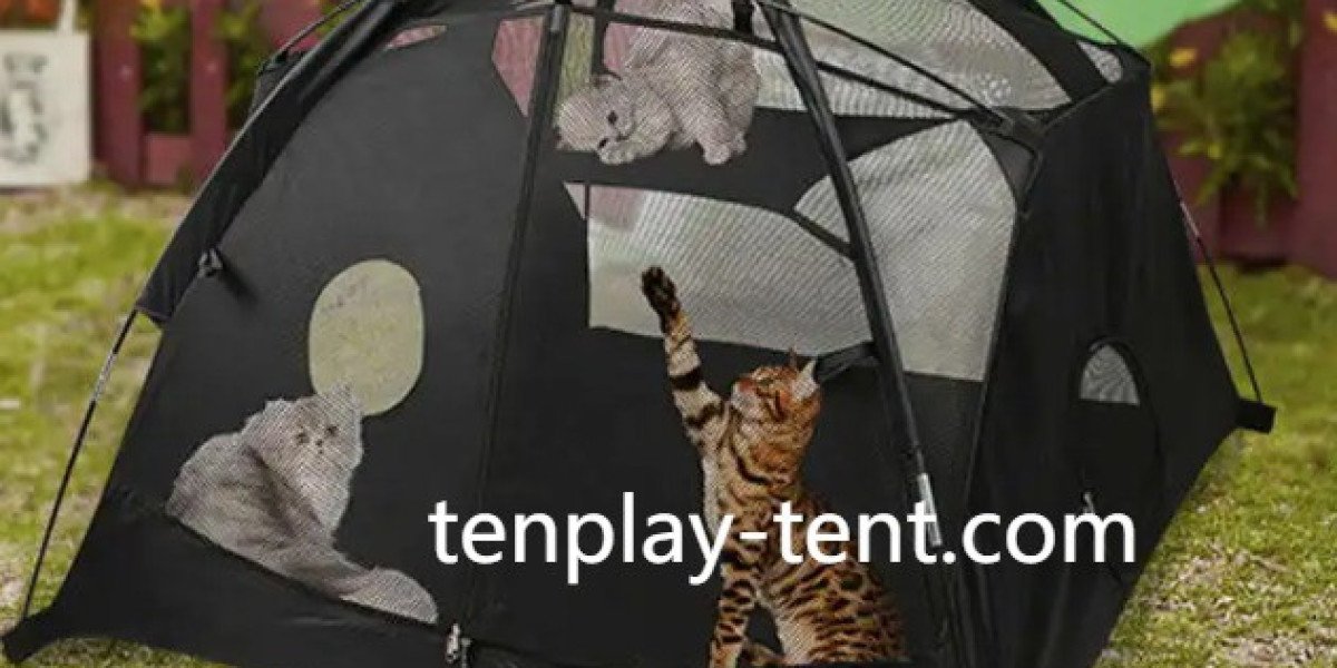 Pet Tent Functions That Improve Pet Comfort