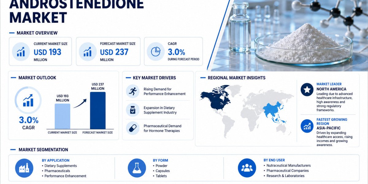 Global Androstenedione Market Growing at 3.0% CAGR Through 2032