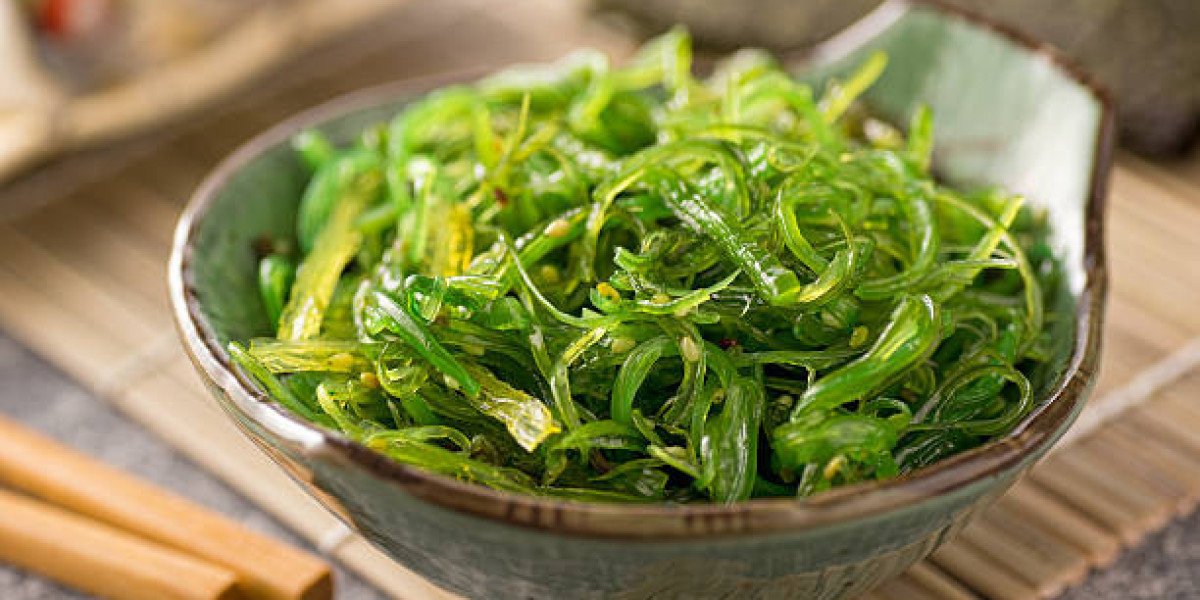 Seaweed Market Growth, Trends, and Forecast: Global Industry Outlook 2026–2032