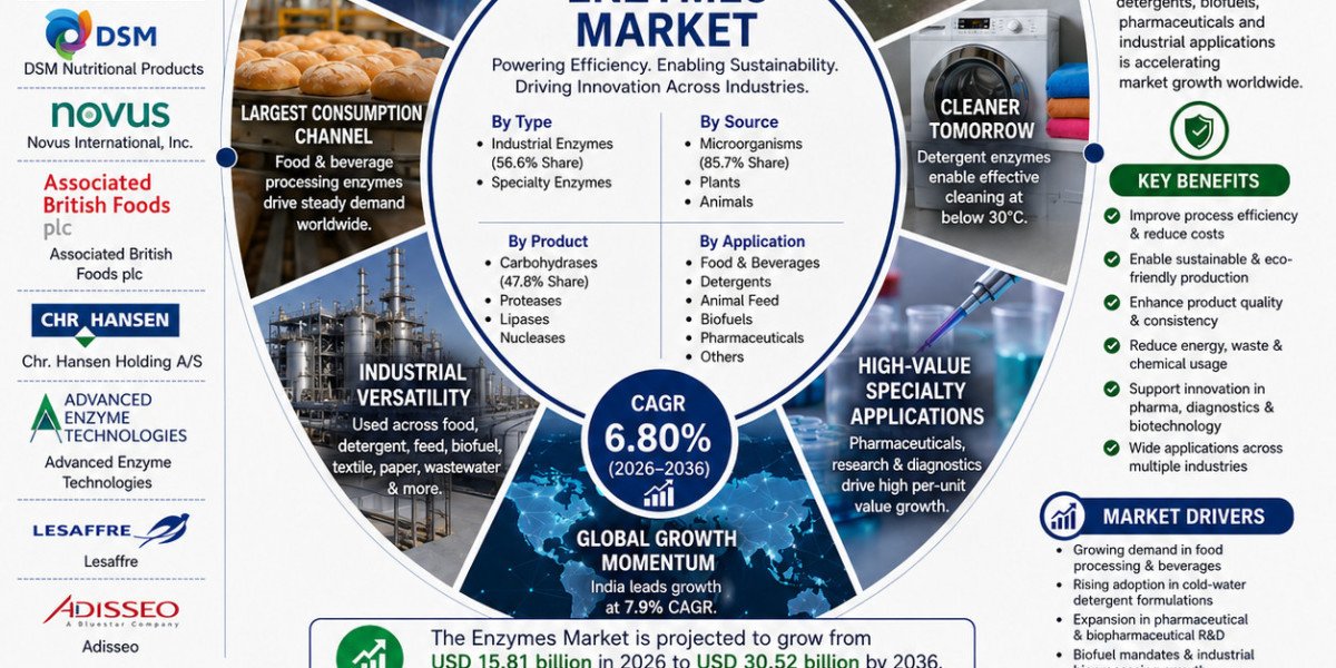 Enzyme Innovation Supports More Efficient Industrial Processing
