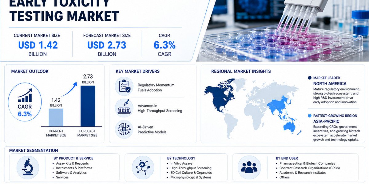Global Early Toxicity Testing Market Growing at 6.3% CAGR Through 2034