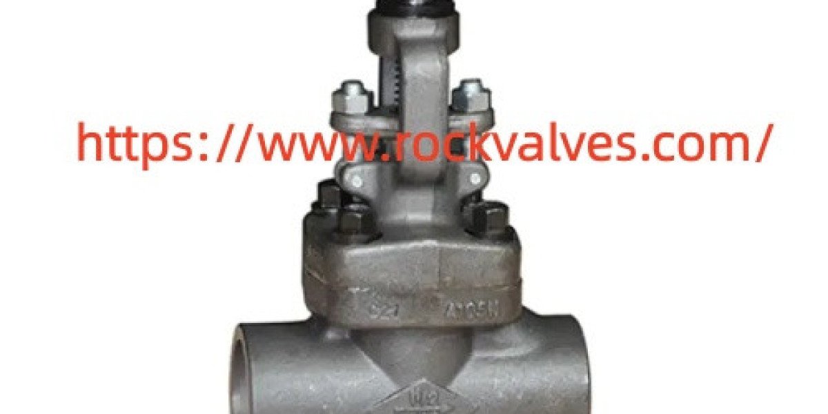 Which Rockvalves Cast Steel Globe Valve Details Matter Before Ordering
