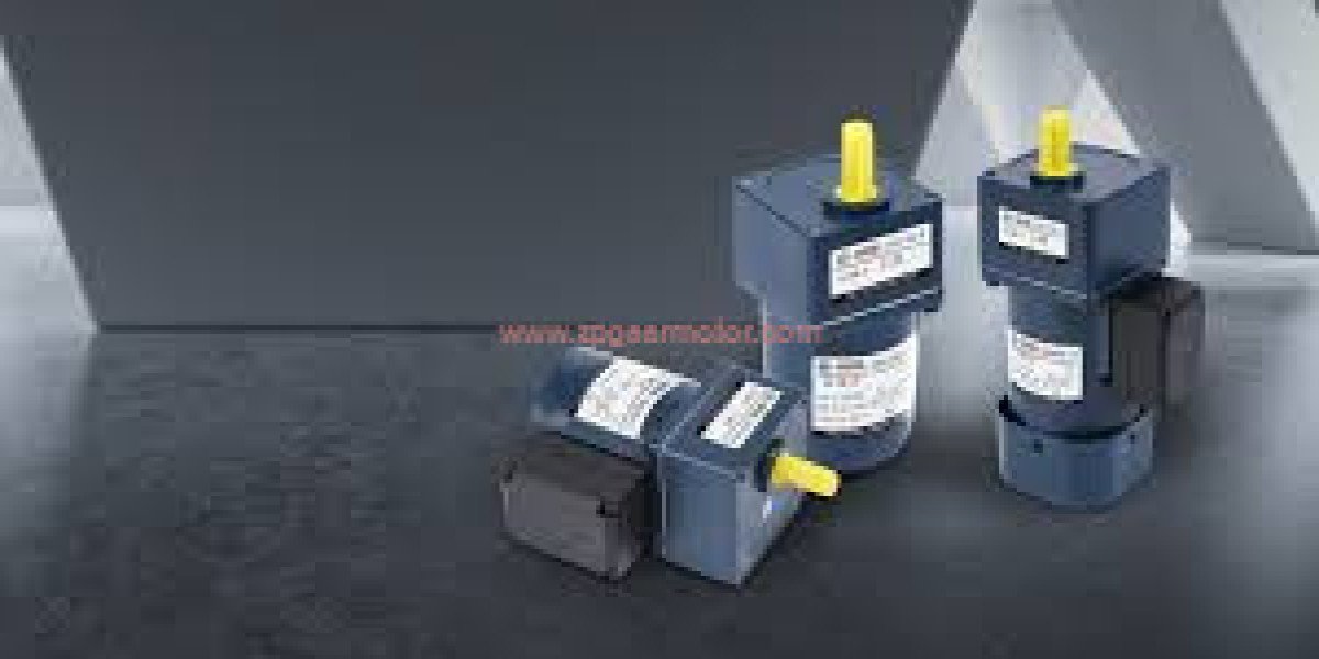 Zpgearmotor Zhanpeng Methods for Confirming Durability from a Gear Motor Manufacturer