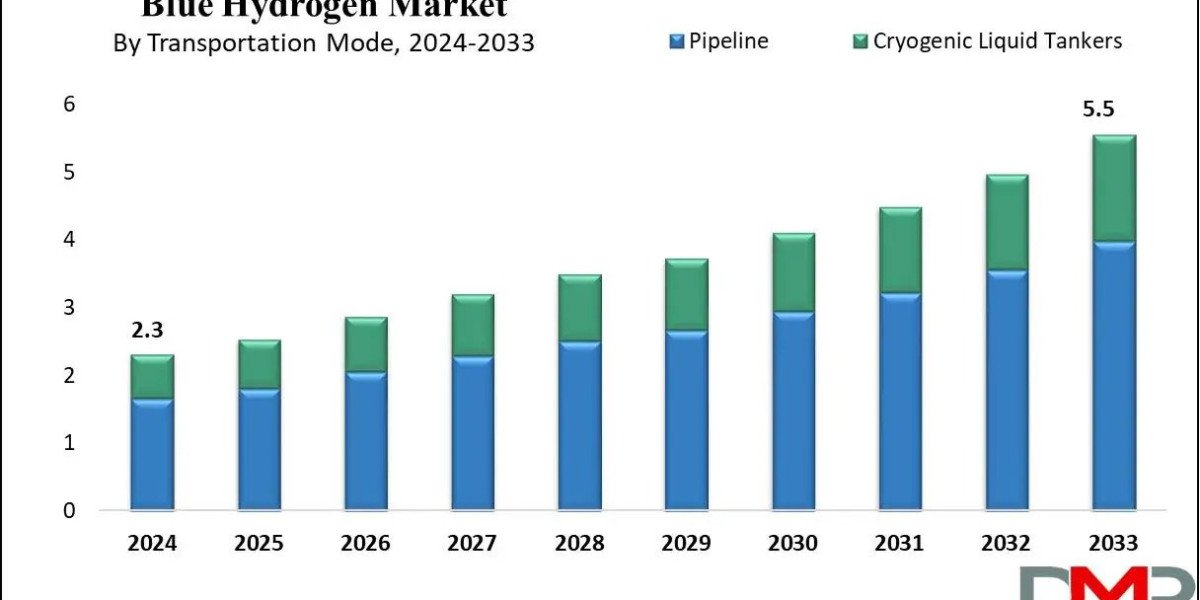 Blue Hydrogen Future Market Report: Emerging Trends, Growth Potential and Competitive Insights