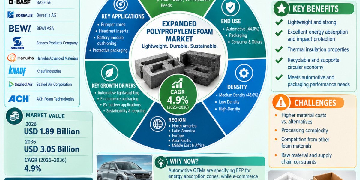 Expanded Polypropylene Foam Market Targets Sustainable Growth