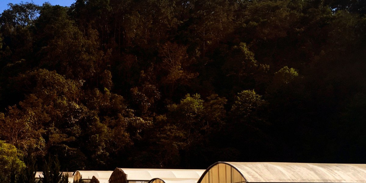 Best Shed Storage Solutions Near Brisbane: A Guide to Better Storage Planning