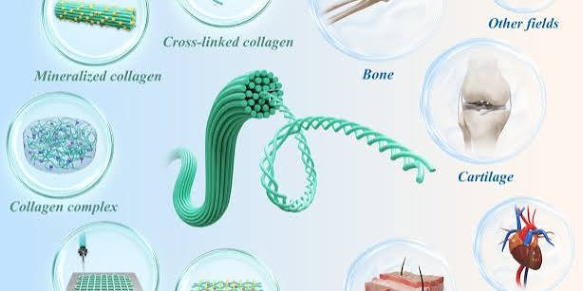 Collagen and HA Biomaterials: Shaping the Future of Aesthetics and Regenerative Medicine