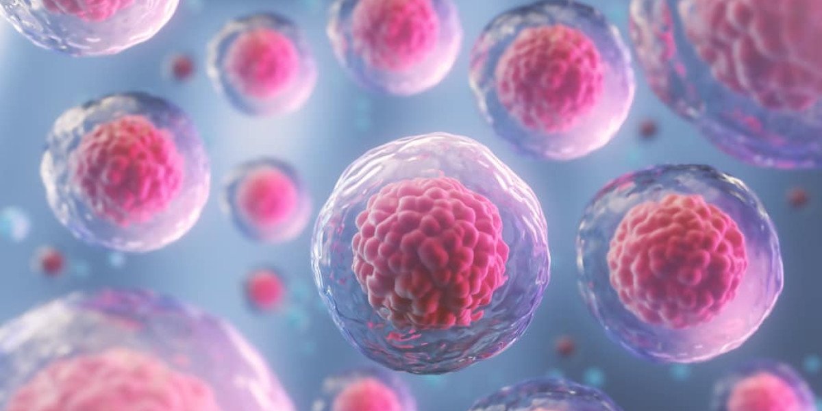 Stem Cells Long Island: Understanding Regenerative Medicine