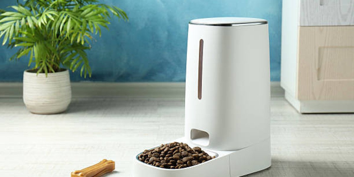 Automatic Pet Feeder Market Evolves With Pet Care Technology