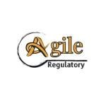 Agile Regulatory