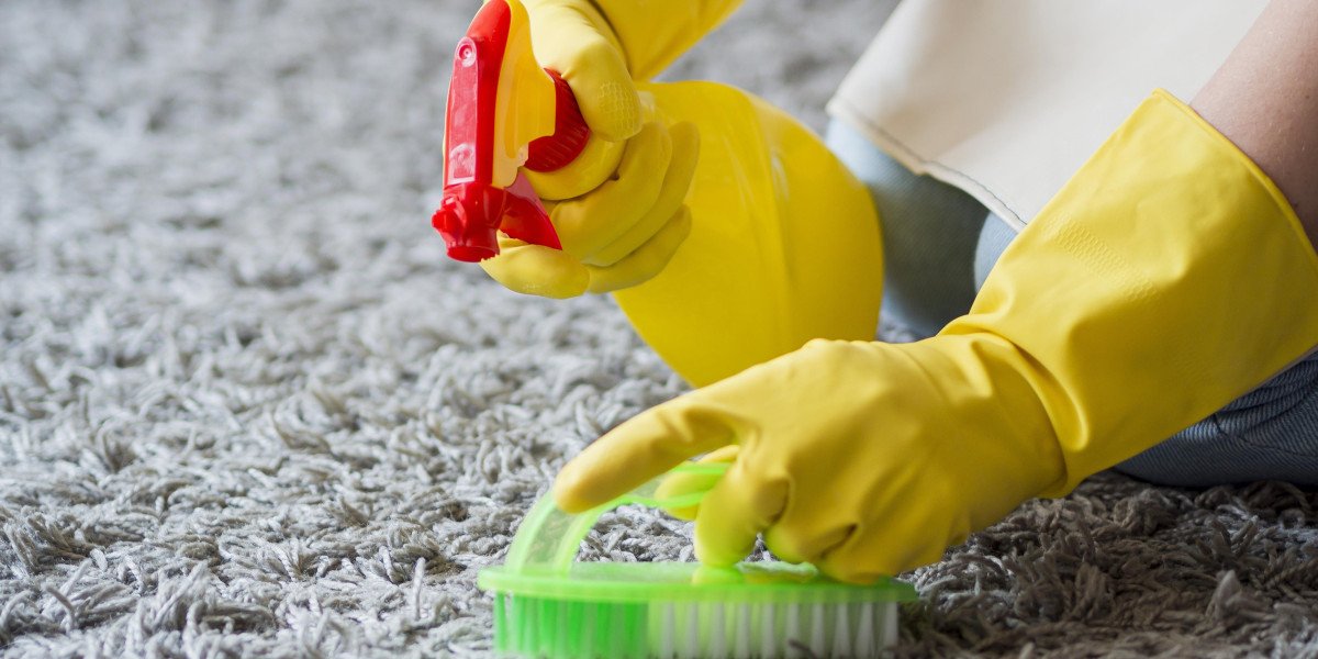 Why Do Fleas Appear in an Empty House? The Hidden Carpet Problem